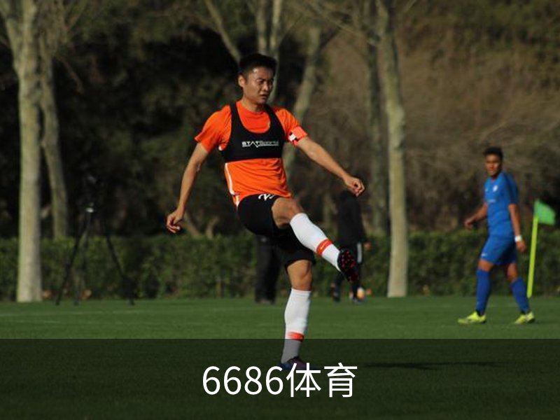 关于6686体育
